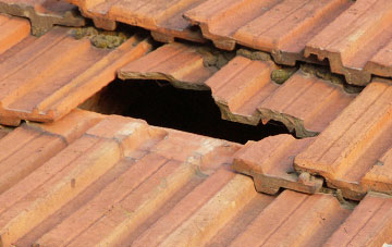 roof repair Hartley